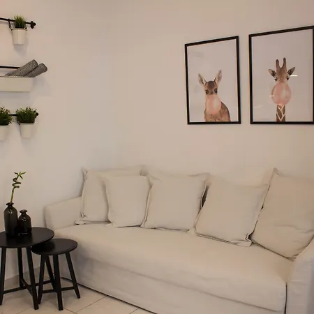 Super Stylish Apartments In Syntagma Square!-3