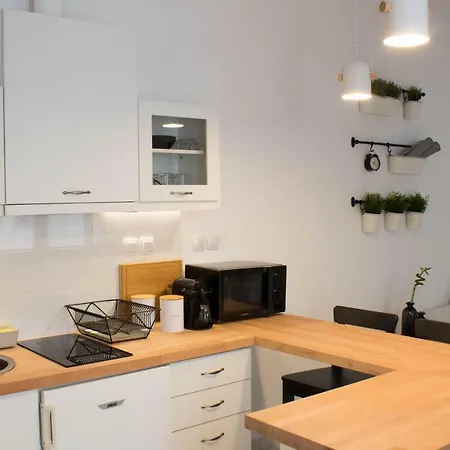 Super Stylish Apartments In Syntagma Square!-2